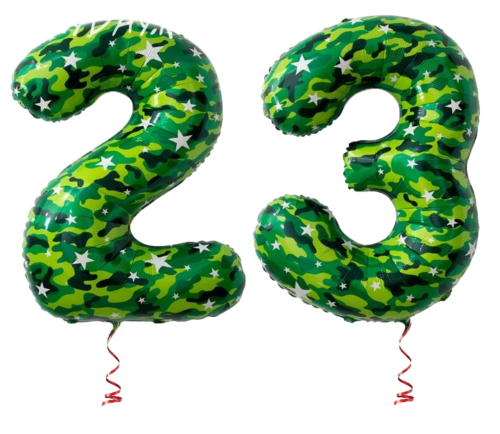 Цифры "23" милитари