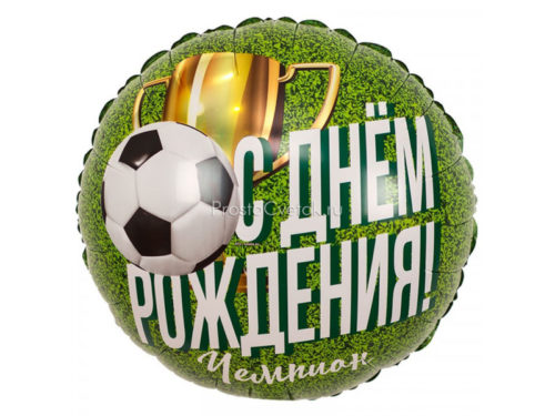 ДР Чемпион футболист 45 см